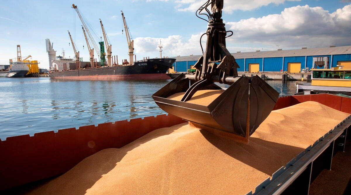 Kuru / Dökme Yük Taşımacılığı